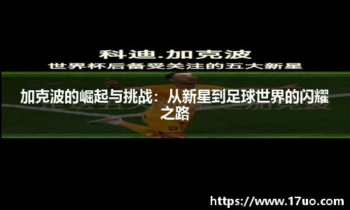星空.综合体育官网