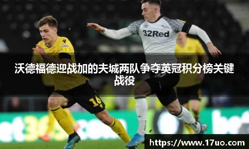 星空.综合体育官网
