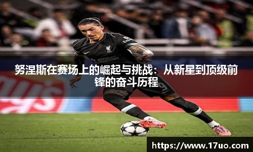星空.综合体育(中国)官方网站